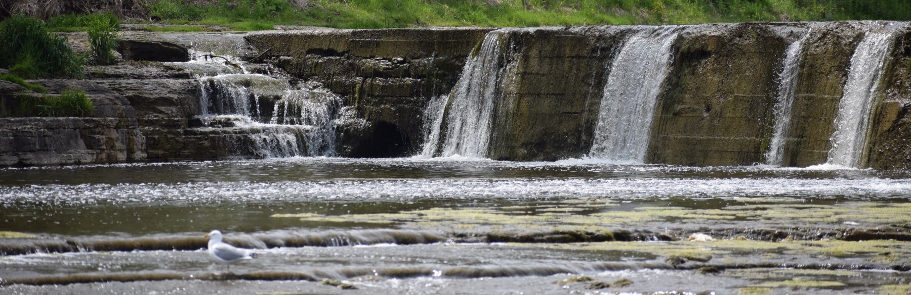 Boating - Upper Thames River Conservation Authority